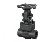 鍛鋼閘閥有哪些優(yōu)缺點(diǎn)呢？